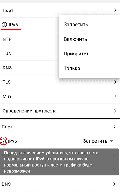 Переключатель поддержки IPv6 в Karing
