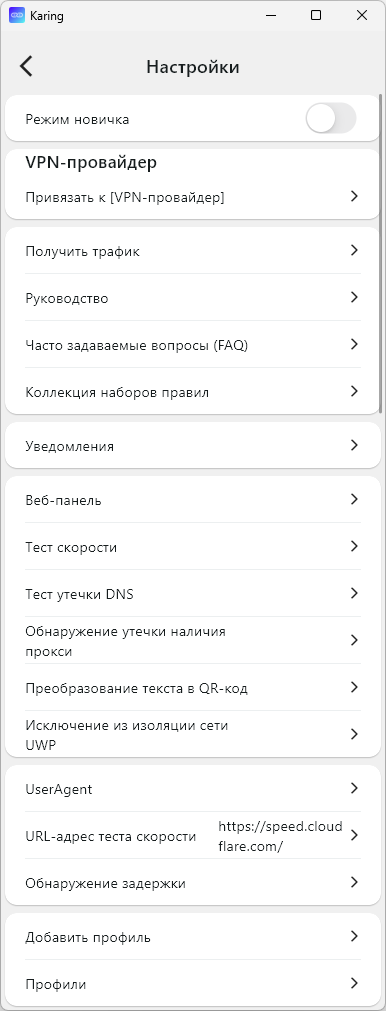 Настройки Karing на Windows