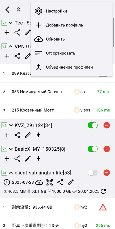 Дополнительное меню управления профилями Karing