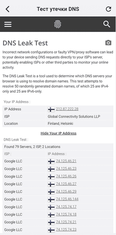 Тест утечек DNS в Karing