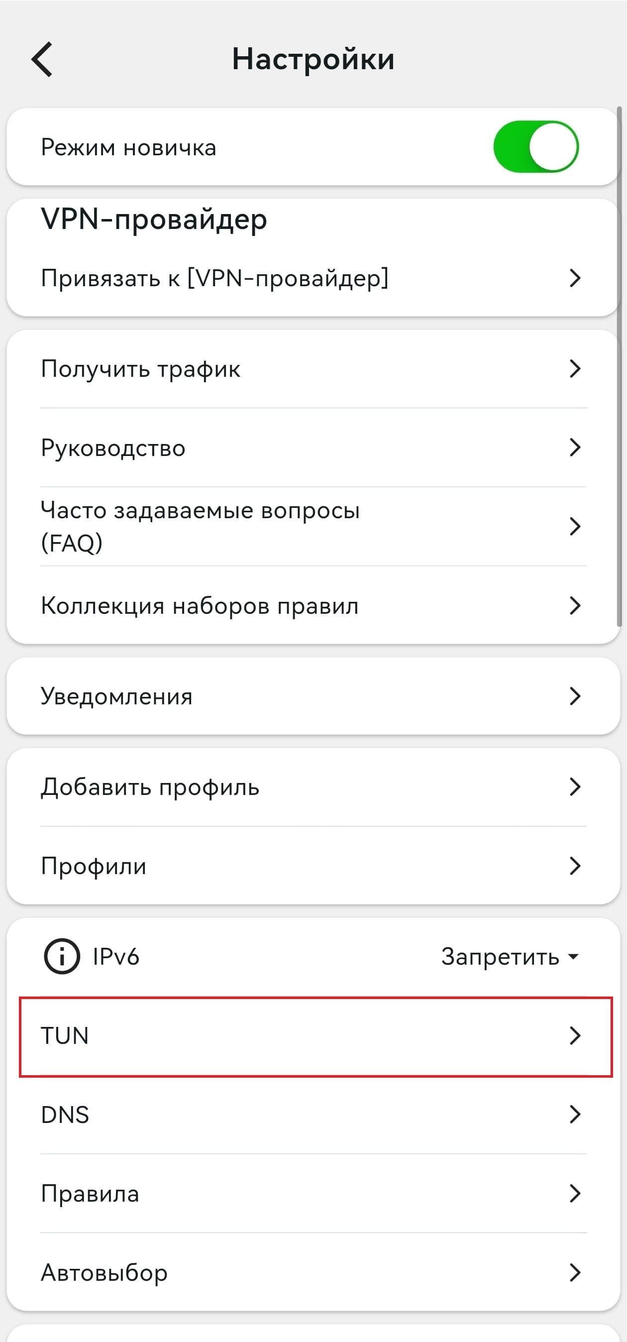 Настройки TUN в Karing